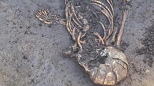 Das Skelett beschäftigt die Archäologen und wirft Fragen auf. Das Skelett beschäftigt die Archäologen und wirft Fragen auf.