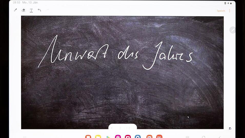 Das &laquo;Unwort des Jahres&raquo; wird seit 1991 von einer sprachkritischen Aktion bestimmt - an diesem Dienstag gibt die Jury bekannt, welchen Begriff sie im vergangenen Jahr besonders kritisch fand.