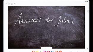 Das &laquo;Unwort des Jahres&raquo; wird seit 1991 von einer sprachkritischen Aktion bestimmt - an diesem Dienstag gibt die Jury bekannt, welchen Begriff sie im vergangenen Jahr besonders kritisch fand.