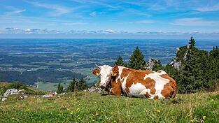 Wer in Bayern einen Ausflug plant und etwa im Voralpenland wandern will, dürfte am Sonntag das schönere Wetter erwischen. (Symbolbild) Wer in Bayern einen Ausflug plant und etwa im Voralpenland wandern will, dürfte am Sonntag das schönere Wetter erwischen. (Symbolbild)