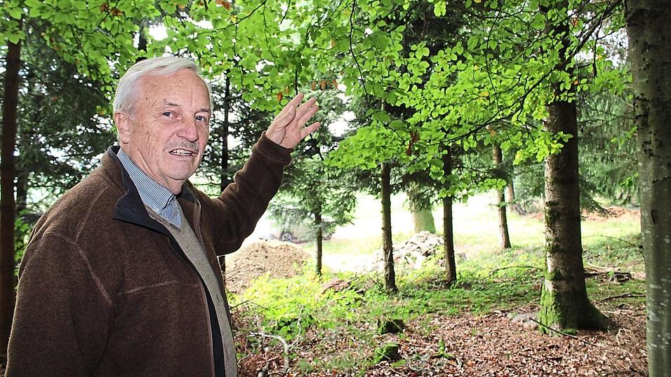 Franz Attenkofer hat neben Nadelb&auml;umen auch einige Laubb&auml;ume in seinem Wald. Sie sind allerdings in der Unterzahl.