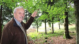 Franz Attenkofer hat neben Nadelb&auml;umen auch einige Laubb&auml;ume in seinem Wald. Sie sind allerdings in der Unterzahl.