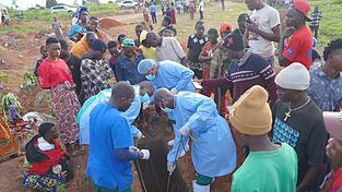 Kinder sind durch das gefährliche Ebola-Fieber besonders hart betroffen. (Archivbild) Kinder sind durch das gefährliche Ebola-Fieber besonders hart betroffen. (Archivbild)