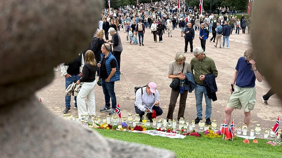 Die Norweger zieht es in diesen Tagen aus allen Richtungen zum Schlossplatz. Die Norweger zieht es in diesen Tagen aus allen Richtungen zum Schlossplatz.