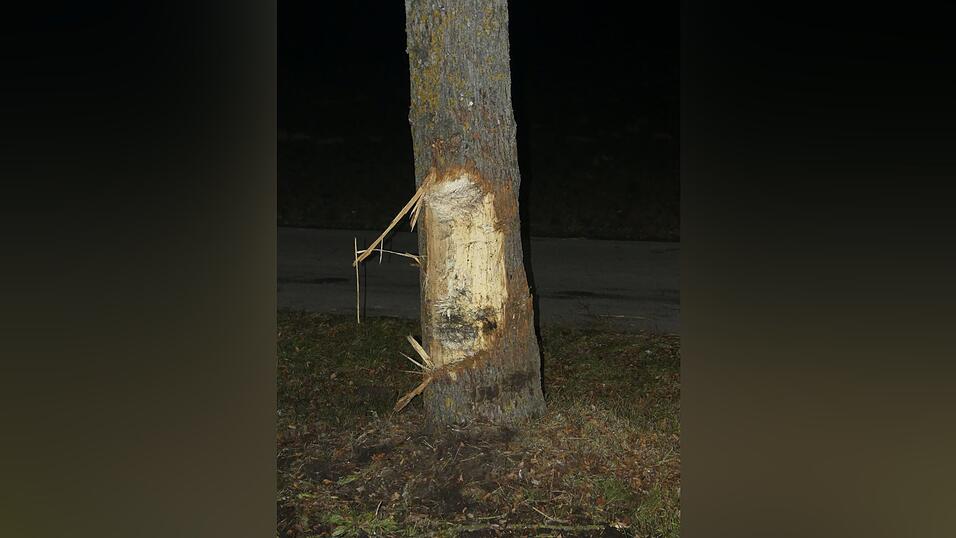 An diesen Baum prallte das Auto