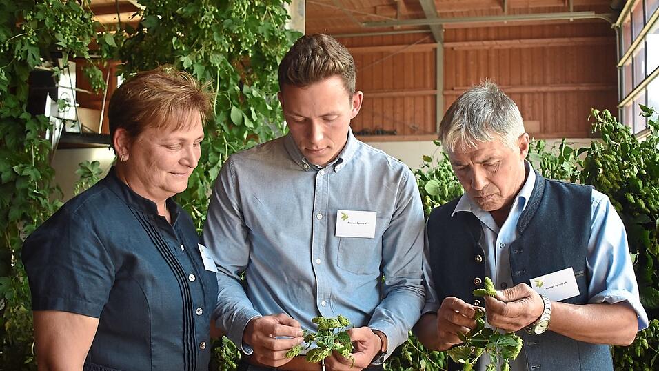 Thomas und Eva Spornraft begutachten mit ihrem Sohn Florian (Mitte) die Qualit&auml;t des Hopfens aus dem Jahrgang 2025.