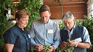 Thomas und Eva Spornraft begutachten mit ihrem Sohn Florian (Mitte) die Qualität des Hopfens aus dem Jahrgang 2025.