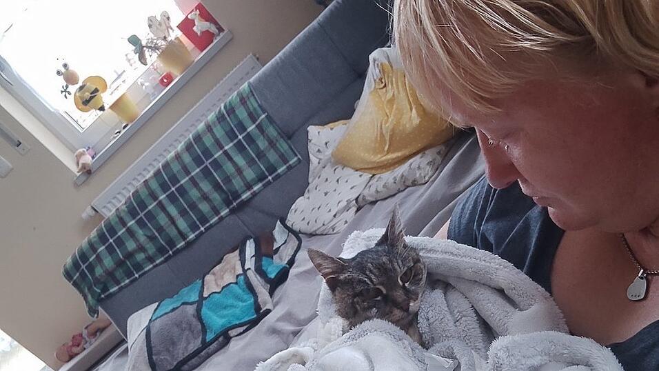 Die letzten Stunden sind angebrochen. Minka verbringt sie eingeschlungen in eine kuschelige Decke auf dem Scho&szlig; ihrer Besitzerin.