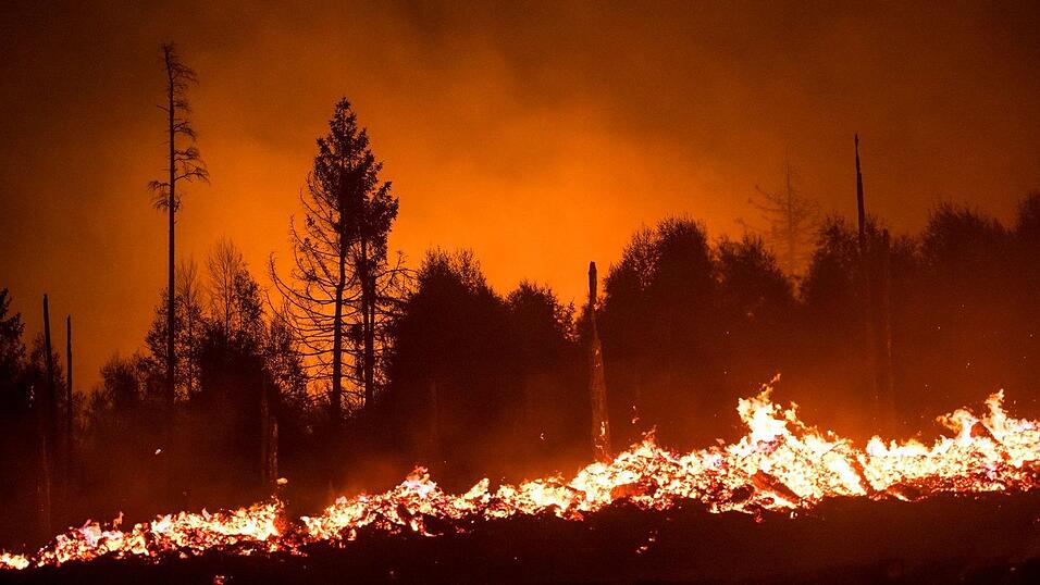 Flammen lodern in einem Waldstück der Saalfelder Höhe. (Archivbild) Flammen lodern in einem Waldstück der Saalfelder Höhe. (Archivbild)