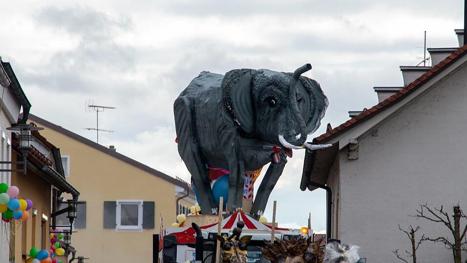 Ausgelassene Stimmung herrschte beim Faschingsumzug in Hofkirchen.