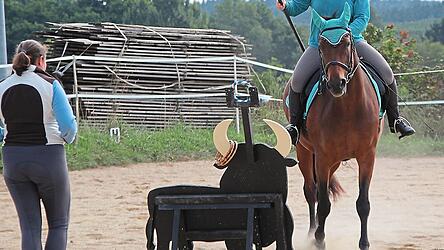 Working Equitation macht Reiter und Pferd zu einem richtigen Team.