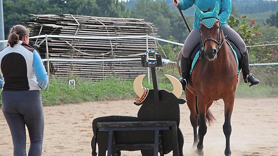 Working Equitation macht Reiter und Pferd zu einem richtigen Team.