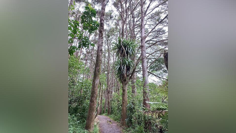 Kati auf Entdeckungstour in Neuseeland.