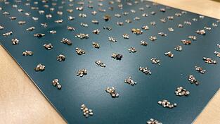 Die Rohdiamanten wurden bei der Einreise entdeckt. (Handout) Die Rohdiamanten wurden bei der Einreise entdeckt. (Handout)