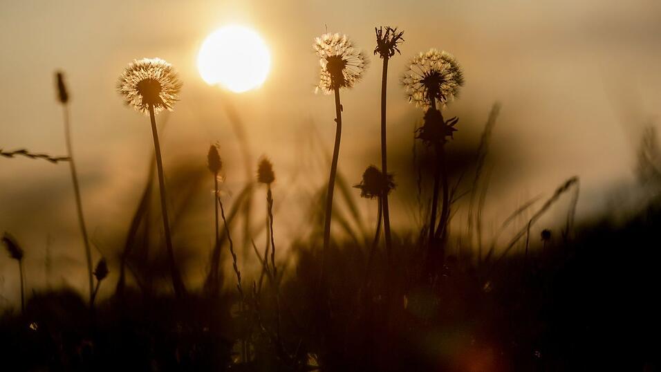 Das Wetter in Deutschland wird in den nächsten Tagen heiß und gewittrig. Das Wetter in Deutschland wird in den nächsten Tagen heiß und gewittrig.