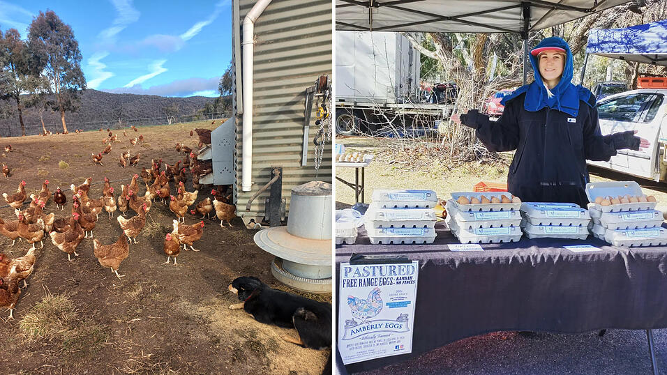 Bei ihrem zweiten Ziel in Australien arbeitet Kati Auerswald auf einer Farm in Canberra mit – und verkauft Eier auf einem Wochenmarkt.