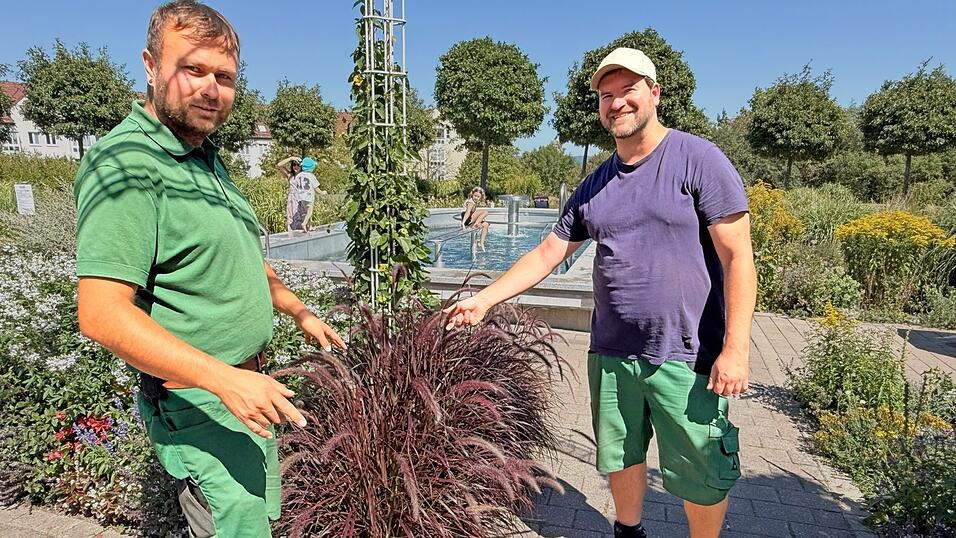 Sebastian Bohn (links) und Andreas Kroiß lassen die Pergola vor dem Kneipp-Becken erblühen. Sebastian Bohn (links) und Andreas Kroiß lassen die Pergola vor dem Kneipp-Becken erblühen.