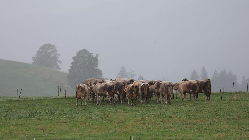 Regen, Gewitter und Sturmböen erwarten die Menschen bis Freitag. (Archivbild) Regen, Gewitter und Sturmböen erwarten die Menschen bis Freitag. (Archivbild)