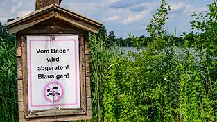 Wegen Blaualgen rät das Gesundheitsamt vom Baden im Drachensee derzeit ab.