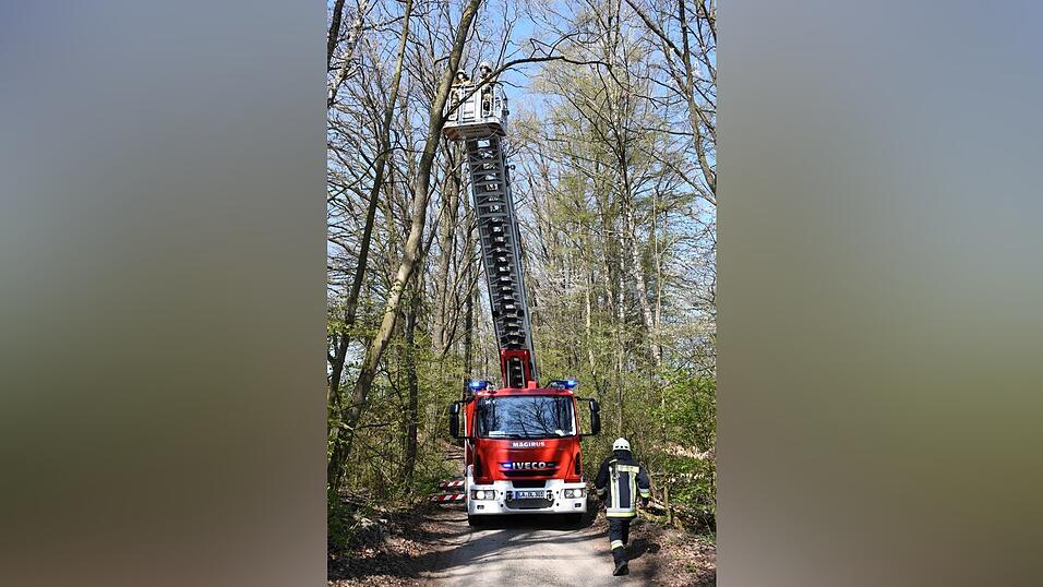 Um die Katze aus ihrer schwierigen Lage zu befreien, begaben sich zwei Feuerwehrleute im Korb an der Drehleiter in luftige Höhen. Um die Katze aus ihrer schwierigen Lage zu befreien, begaben sich zwei Feuerwehrleute im Korb an der Drehleiter in luftige Höhen.