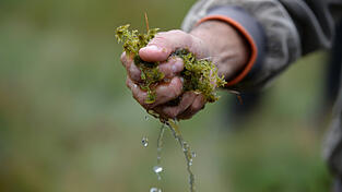Moore spielen beim Grundwassermanagement eine gewichtie Rolle.