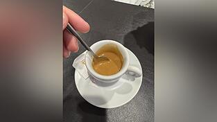 Kaffeegenuss - in Regensburg mit oder ohne Katze.