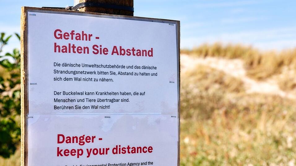 Achtung, Ansteckungsgefahr! Die Behörden klären auf Deutsch auf. Achtung, Ansteckungsgefahr! Die Behörden klären auf Deutsch auf.