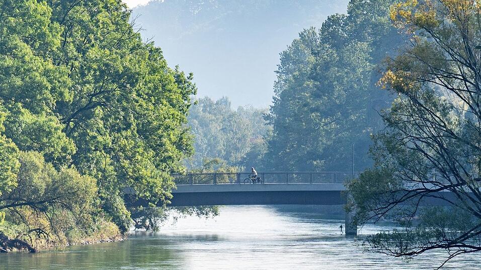 In der Isar bei Landau wurde die Fischart erfolgreich ausgesetzt. (Archivbild) In der Isar bei Landau wurde die Fischart erfolgreich ausgesetzt. (Archivbild)