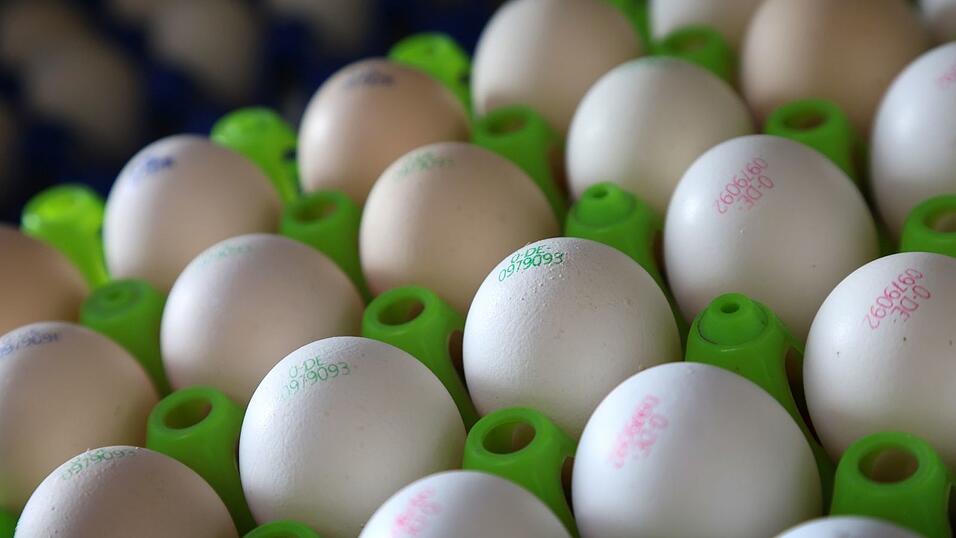 Bio-Eier sind besonders gefragt. (Symbolbild)