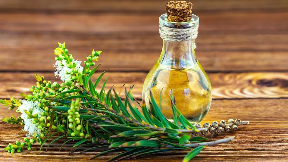 Gesund und entzündungshemmend: Teebaumöl.