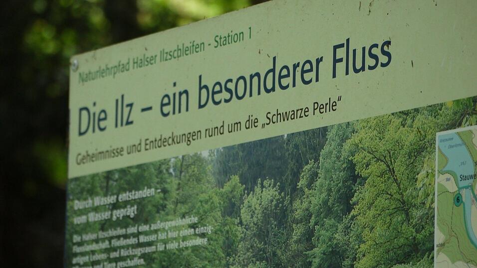 Wunderschönes Ausflugsziel in Passau: die Halser Ilzschleifen. Wunderschönes Ausflugsziel in Passau: die Halser Ilzschleifen.