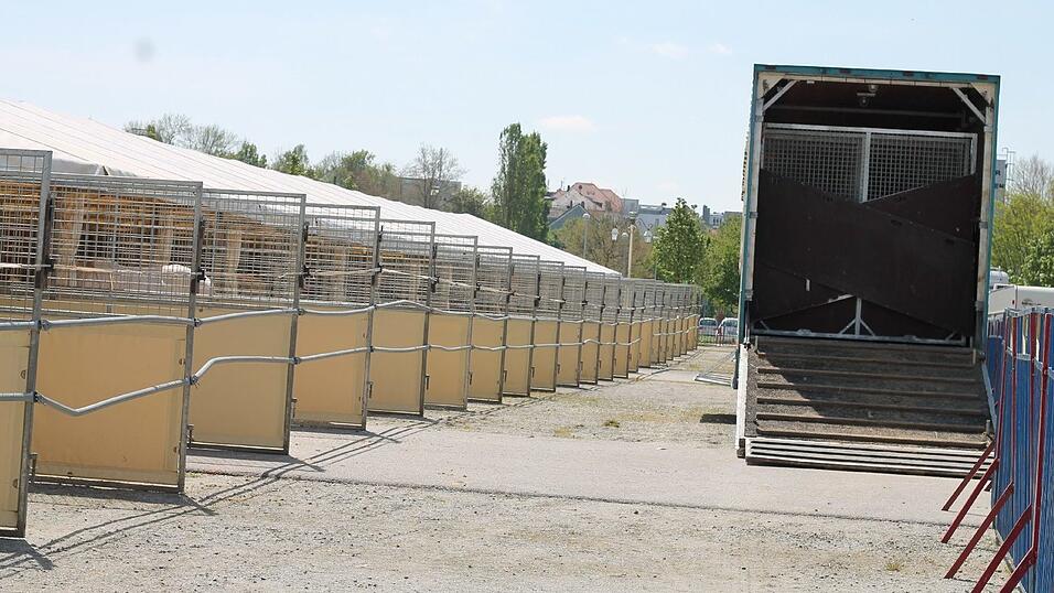 Bis zum 17. Mai gastiert der Circus Krone in Straubing. Wir haben uns angeschaut, wie es hinter den Kulissen aussieht. Bis zum 17. Mai gastiert der Circus Krone in Straubing. Wir haben uns angeschaut, wie es hinter den Kulissen aussieht.