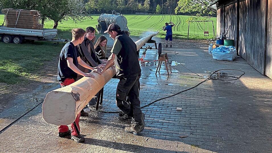 Die Geisenhausener Landjugend mit ihren Maibaum. Die Geisenhausener Landjugend mit ihren Maibaum.