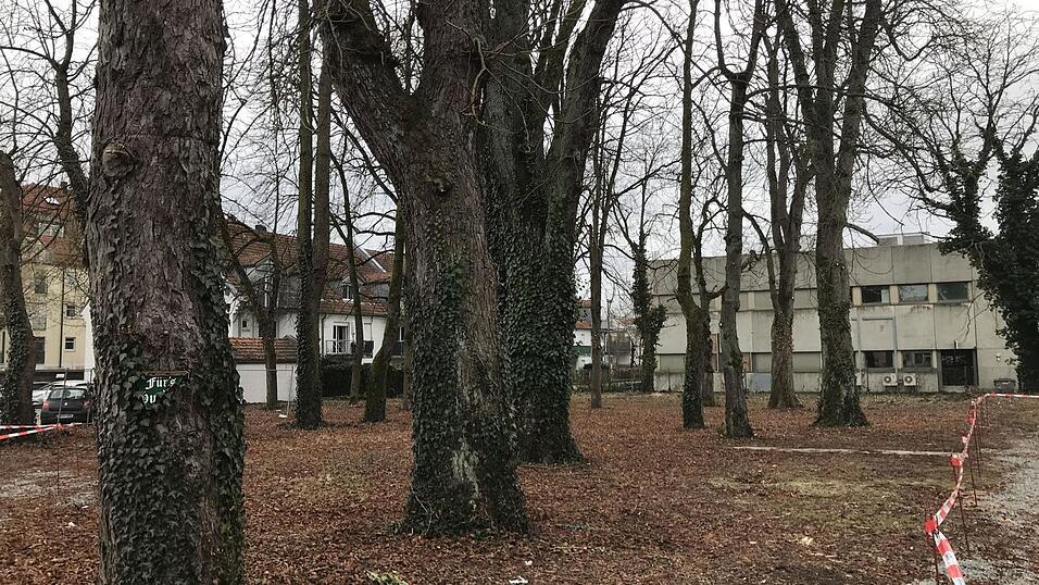 Die gro&szlig;en Kastanienb&auml;ume erinnern noch an den fr&uuml;heren Biergarten im Redlbacher Keller.