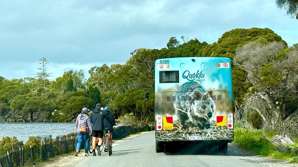 Die meisten Touristen auf Rottnest Island fahren Fahrrad - oder mit dem Quokka-Bus.