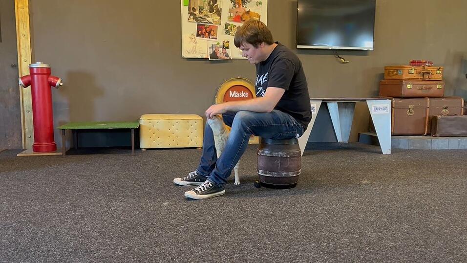 Im Training mit unserem Autor wird Nils auf Kommando anhänglich. Im Training mit unserem Autor wird Nils auf Kommando anhänglich.