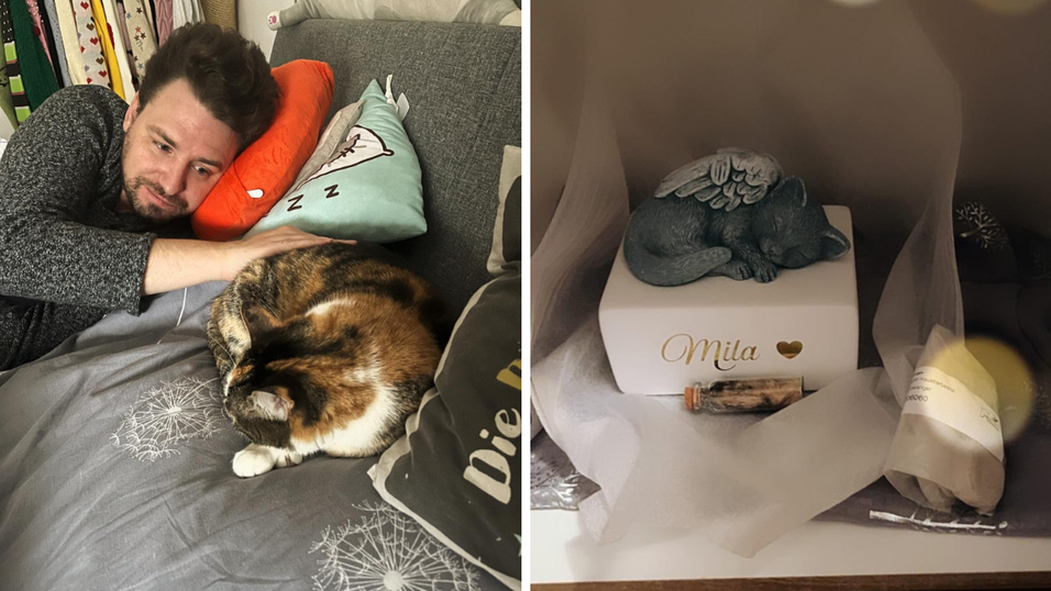 Vor und nach dem Tod:&nbsp;Mila beim Kuscheln mit Sebastian Ites (links).&nbsp;Milas &Uuml;berreste in der Vitrine (rechts).&nbsp;