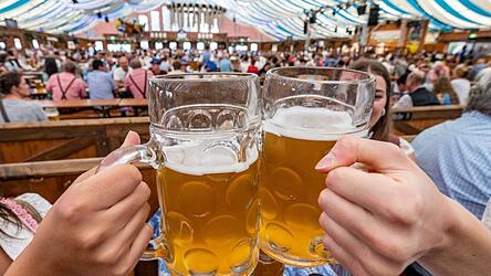 F&uuml;r bayerisches Bier reicht die Menge an heimischer Braugerste nicht aus, es wird zugekauft, etwa aus Th&uuml;ringen. (Symbolbild)
