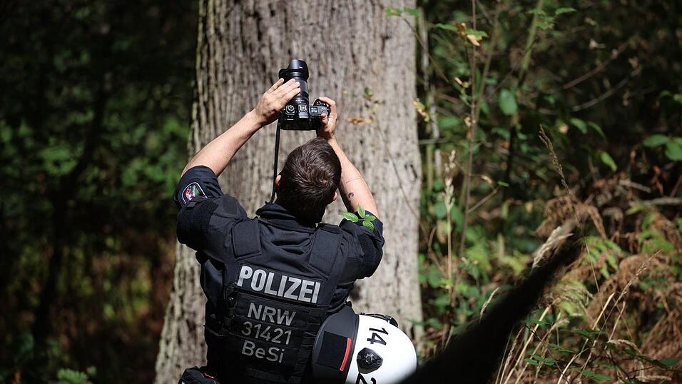 Auch m&ouml;gliche Verstecke auf B&auml;umen werden gepr&uuml;ft.