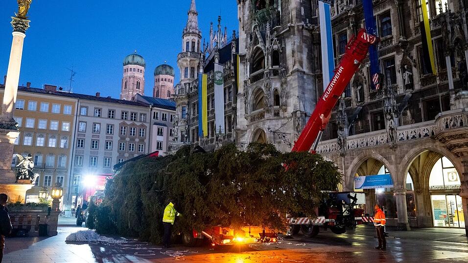 Bald ist Weihnachten. Bald ist Weihnachten.