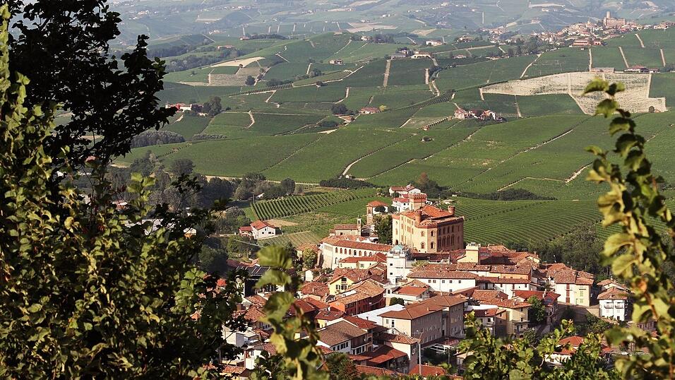 Der Barolo aus der Umgebung der gleichnamigen Gemeinde geh&ouml;rt zu den ber&uuml;hmtesten Weinen der Welt. (Archivbild)