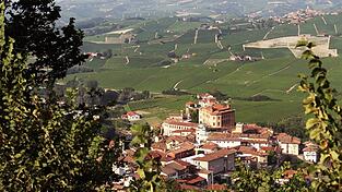 Der Barolo aus der Umgebung der gleichnamigen Gemeinde geh&ouml;rt zu den ber&uuml;hmtesten Weinen der Welt. (Archivbild)