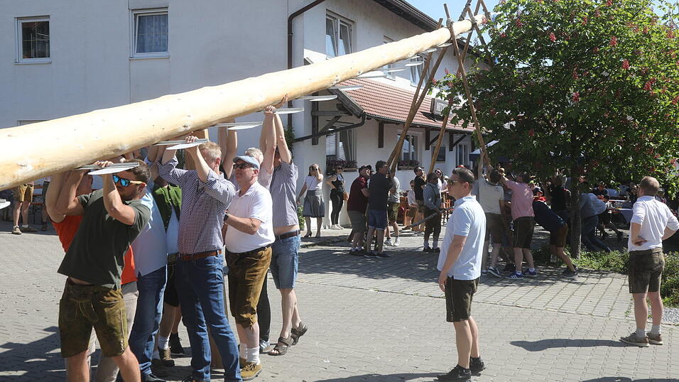 Mit viel Hauruck und Irxenschmals wird seit Jahrzehnten in Vilsheim federführend vom örtlichen Heimat- und Volkstrachtenerhaltungsverein 'Dö zünftig'n Vilstaler' zusammen mit den gesamten Ortsvereinen jedes Jahr beim Gasthof Stadler der Maibaum aufgestellt. Mit viel Hauruck und Irxenschmals wird seit Jahrzehnten in Vilsheim federführend vom örtlichen Heimat- und Volkstrachtenerhaltungsverein 'Dö zünftig'n Vilstaler' zusammen mit den gesamten Ortsvereinen jedes Jahr beim Gasthof Stadler der Maibaum aufgestellt.