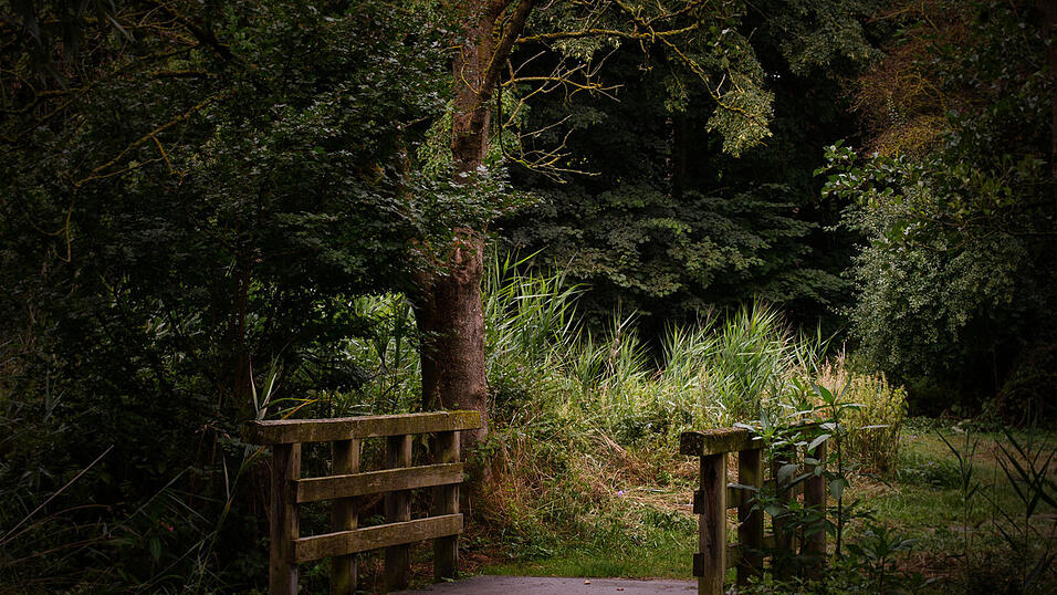 Das Motiv für November von Joachim Walter.