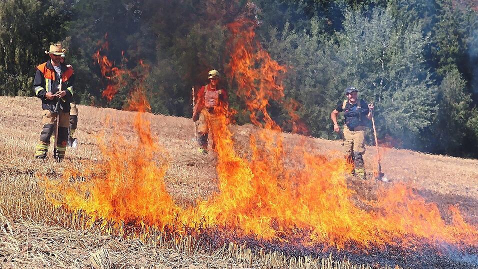 Immer häufiger kommt es aufgrund von Trockenheit und Hitze zu Vegetations- und Waldbränden. Die Feuerwehren wappnen sich dagegen. Immer häufiger kommt es aufgrund von Trockenheit und Hitze zu Vegetations- und Waldbränden. Die Feuerwehren wappnen sich dagegen.