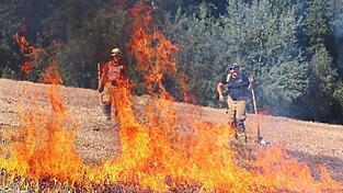 Immer häufiger kommt es aufgrund von Trockenheit und Hitze zu Vegetations- und Waldbränden. Die Feuerwehren wappnen sich dagegen. Immer häufiger kommt es aufgrund von Trockenheit und Hitze zu Vegetations- und Waldbränden. Die Feuerwehren wappnen sich dagegen.
