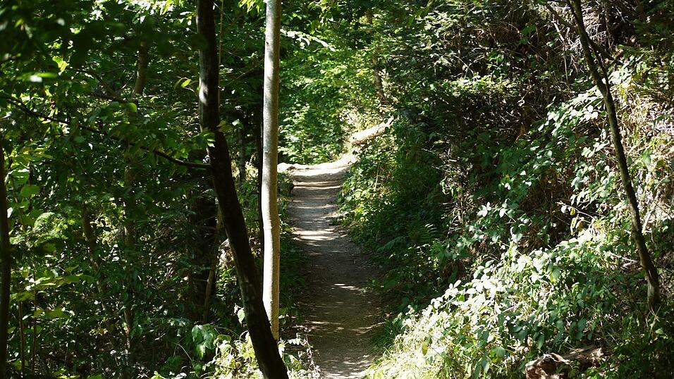 Wunderschönes Ausflugsziel in Passau: die Halser Ilzschleifen. Wunderschönes Ausflugsziel in Passau: die Halser Ilzschleifen.