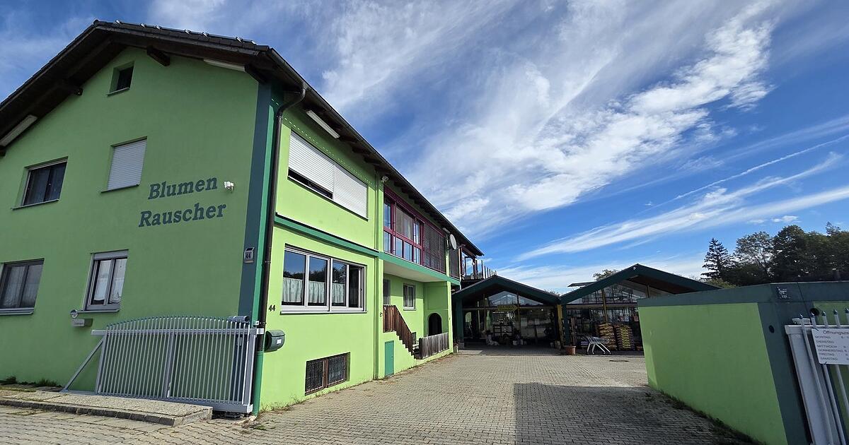 Why Blumen Rauscher is closing its nursery after 63 years