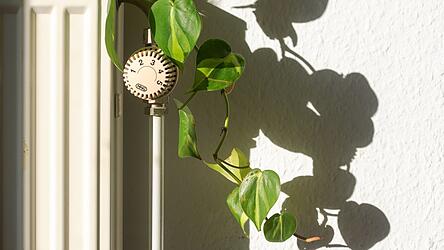 Das sogenannte Heizungsgesetz beschäftigt weiterhin die Bundespolitik. Das sogenannte Heizungsgesetz beschäftigt weiterhin die Bundespolitik.