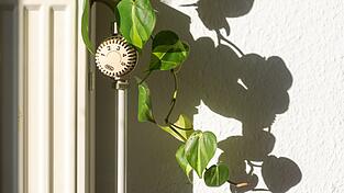 Das sogenannte Heizungsgesetz besch&auml;ftigt weiterhin die Bundespolitik.